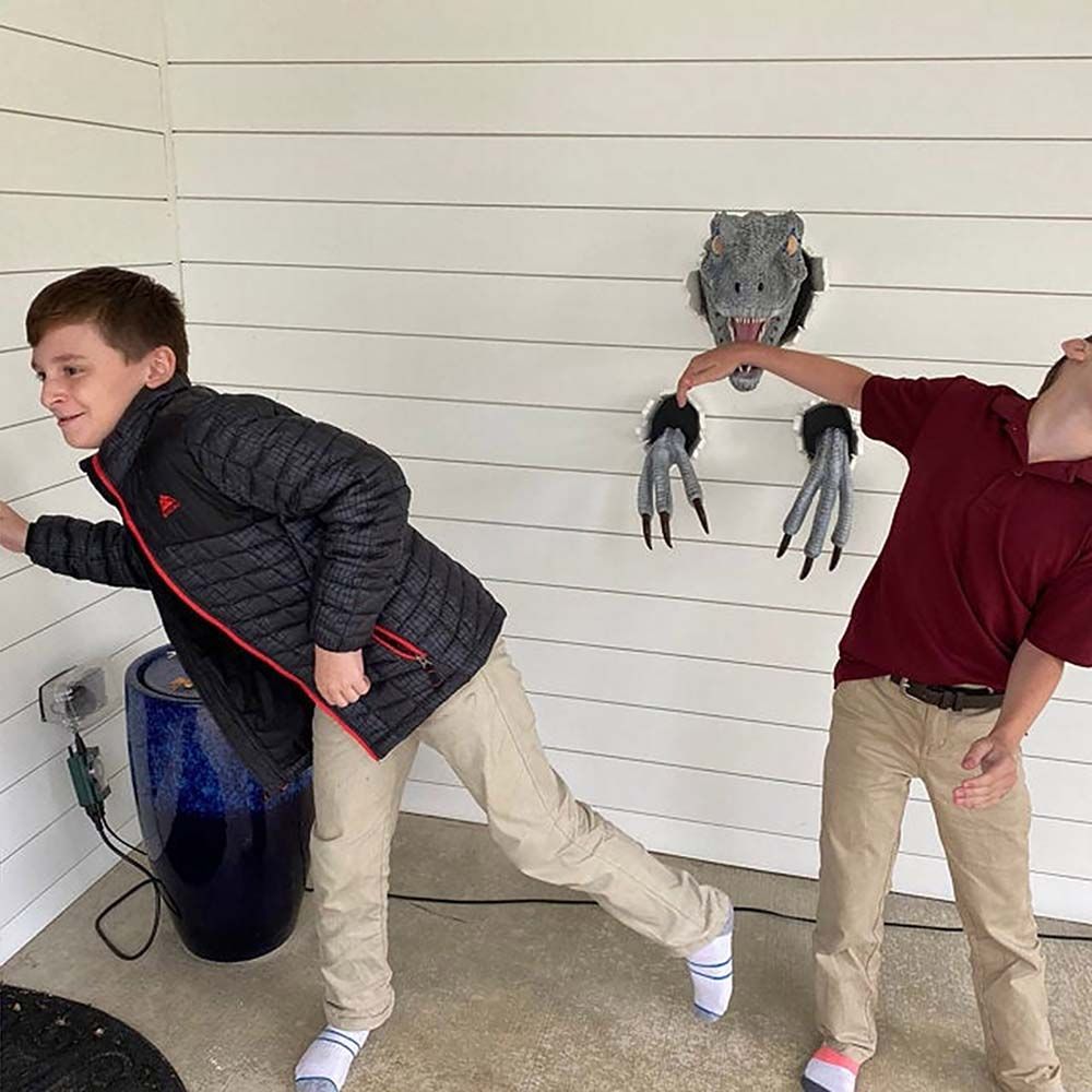 Hot 3D Wall Dinosaur Sculpture - Buy Online