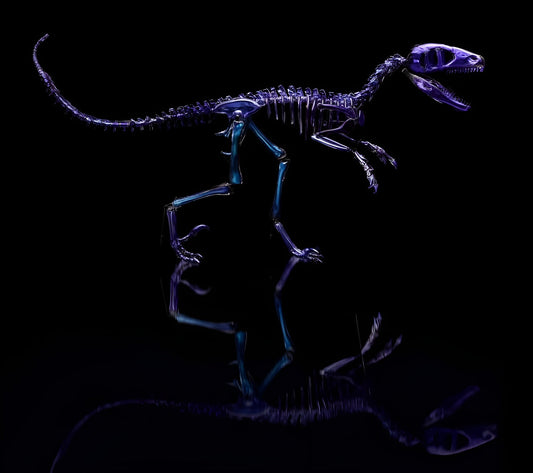 The Dakotaraptor Project: Bridging Paleontology and Glass Art