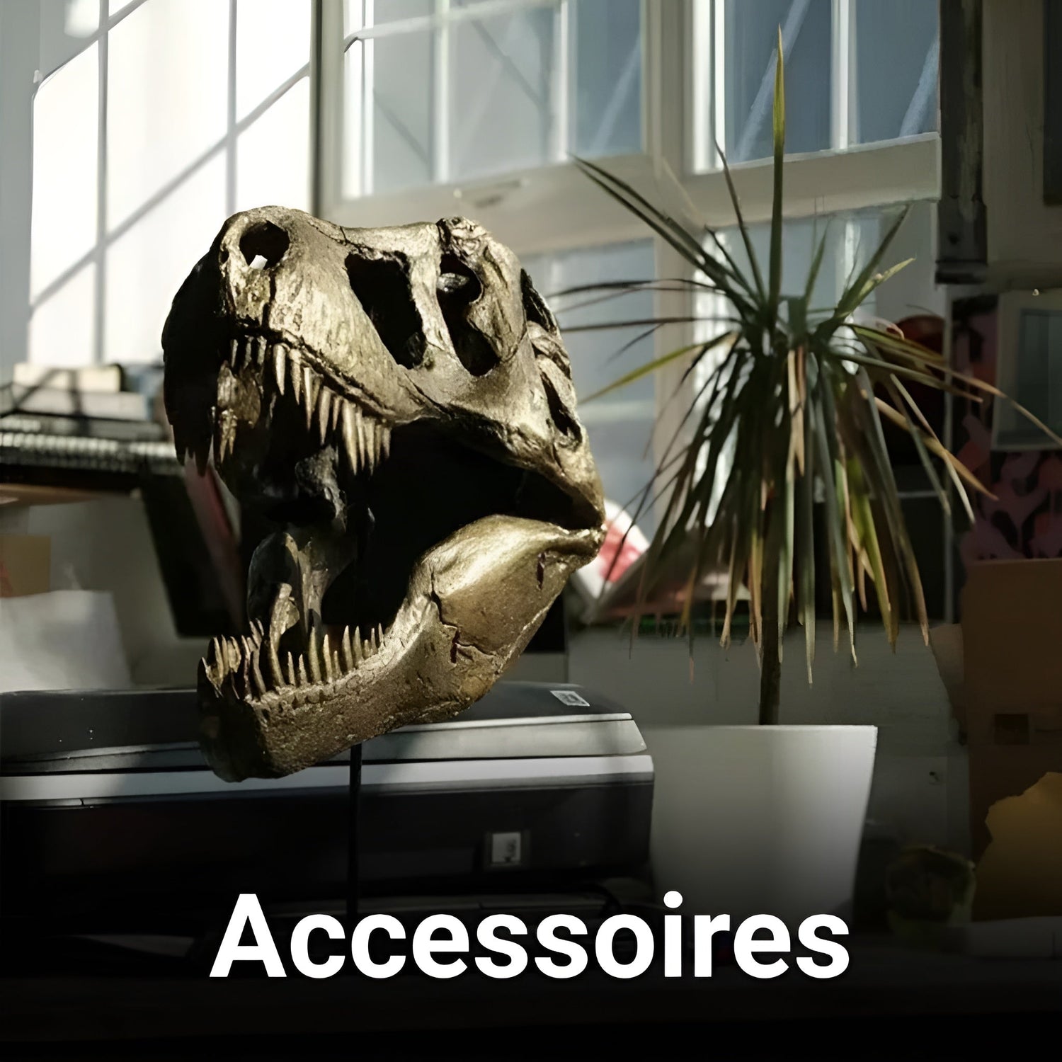 Dinosaur Accessories for Kids & Adults - Prehistoric Dinosaur Hub