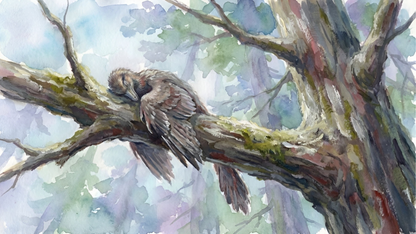 Archaeopteryx | Sleeping Dinosaurs Posters