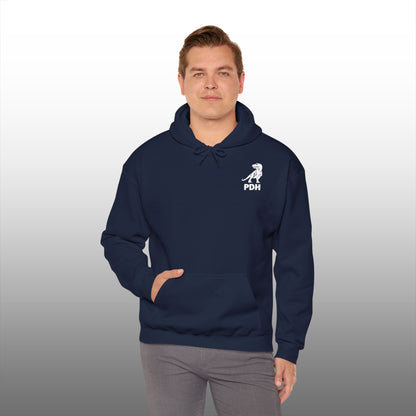 Coastal Chronicles Hoodie Adult