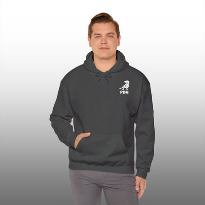 Coastal Chronicles Hoodie Adult