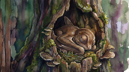 Anurognathus | Sleeping Dinosaurs Posters