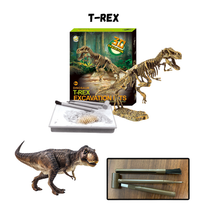 Dinosaur toys Excavation Kit