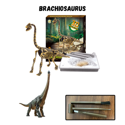 Dinosaur toys Excavation Kit