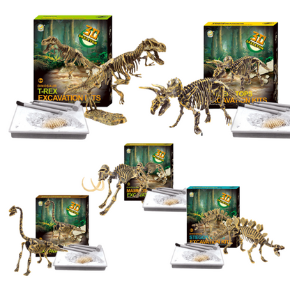 Dinosaur toys Excavation Kit