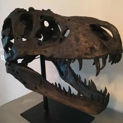 DINOSAUR SKULL CRAFTS RESIN ANIMAL SCULPTURE