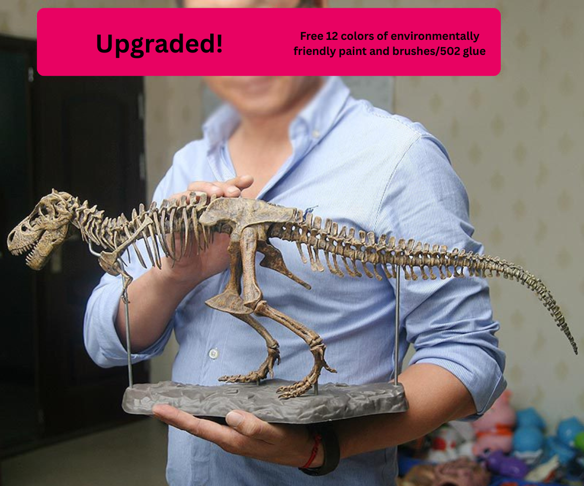 Educational Dinosaur Model & Coloring Toy